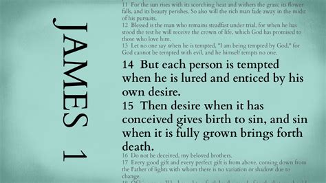 James 1:14 .